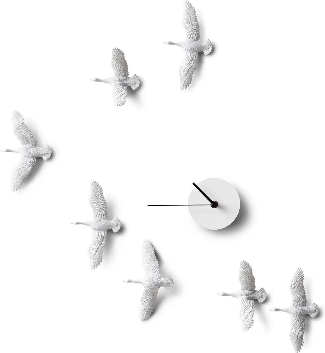 Haoshi Migrantbird X Clock — Zeer goed
