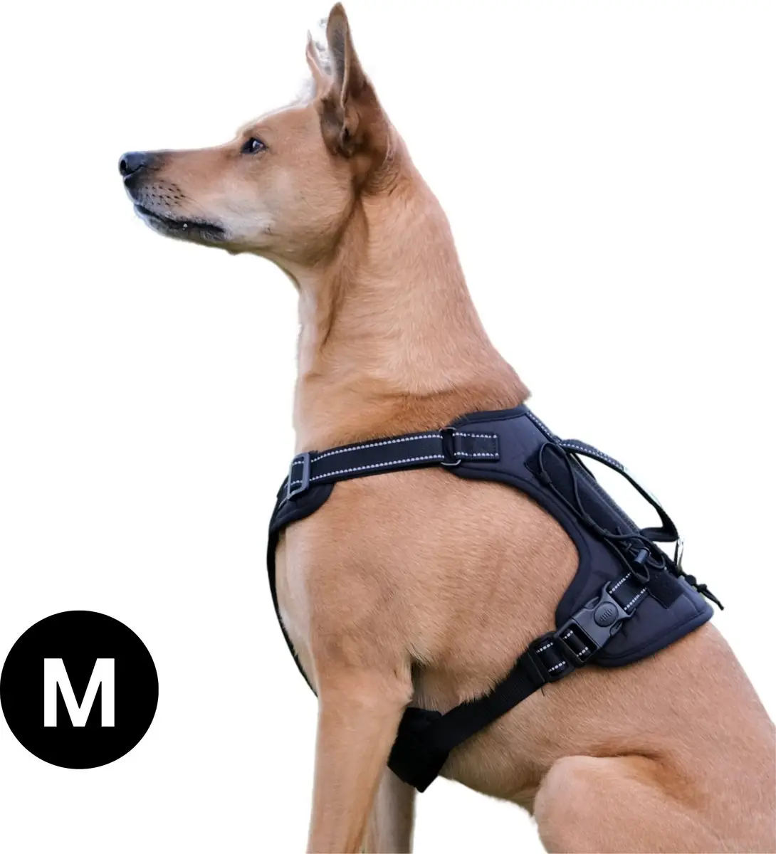 Bandoga hondentuigje - Reflecterend anti-trek harnas - Y Tuig Zwart - Maat M